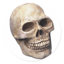Skull bone