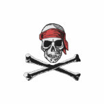 Skull & Bones Pirate logo with bandanna embroidered shirts