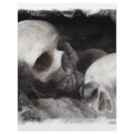Skull Buddies flyers