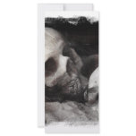 Skull Buddies rack cards