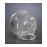 Skull Canvas Print