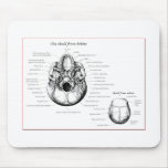 Skull Details Below Mousepad