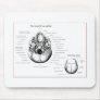 Skull Details Below Mousepad