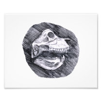 Skull drawing imaginary animal sketch photo