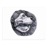 Skull drawing imaginary animal sketch post card