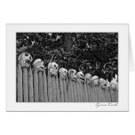 Skull Fence Greeting Cards