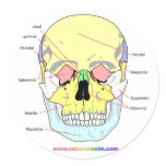 Skull (front) round stickers