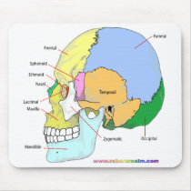 Skull (lateral) mouse pad