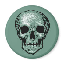 Skull magnets