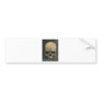 Skull of a witch bumper sticker