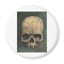 Skull of a witch magnets