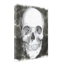 Skull on black 20x24 stretched canvas print