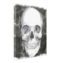 Skull on black 20x24 stretched canvas print