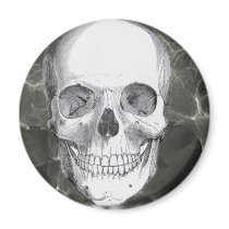 Skull on black magnets
