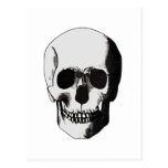 Skull Post Cards