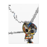 Skull postcards