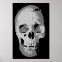 Skull Poster - Black & White Pop Art, Fantasy Art posters
