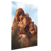 Skull-Shaped Rock Gallery Wrapped Canvas
