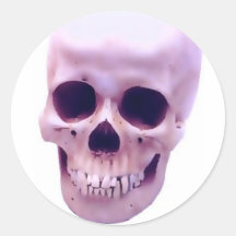 Skull Sticker