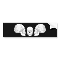 Skull Trio