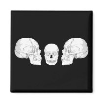 Skull Trio