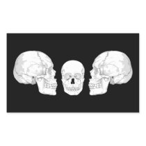 Skull Trio