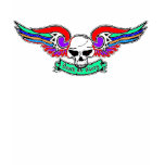 Skull Wings Colourful Death or Glory T-shirt Custo