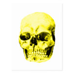 Skull Yellow The MUSEUM Zazzle Gifts Postcard