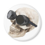 SkullGoggles073109 magnets