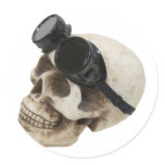 SkullGogglesUp073109 stickers