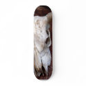 Skulls Bones Horns Cows skateboards