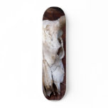 Skulls Bones Horns Cows skateboards