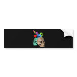 Skulls! bumper stickers