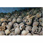 Skulls in Mount Sinai, Middle East photo sculptures