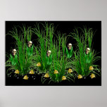 Skulls in the Weeds Poster