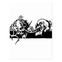Skulls on a Vine. Circa 1901 Mexico. Postcard