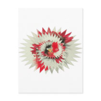 Skulls red post card