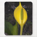 Skunk Cabbage Blossom - Mousepad