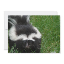 Skunk on an Invitation