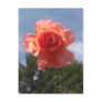 Sky Bloom Postcard