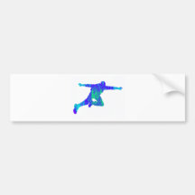 SKY DIVE INTRIGUE BUMPER STICKER