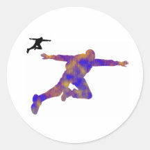 SKY DIVE SHOWN STICKERS