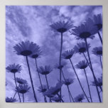 Sky Gazers Poster