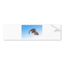 Sky High Bumper Sticker