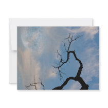 Sky Custom Invitations