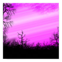 Sky posters
