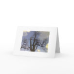 Sky Tree Series Greeting Cards