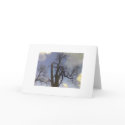 Sky Tree Series cards