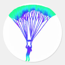 SKYDIVE THE VISION STICKERS