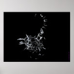 SKYLANTHROPOS posters